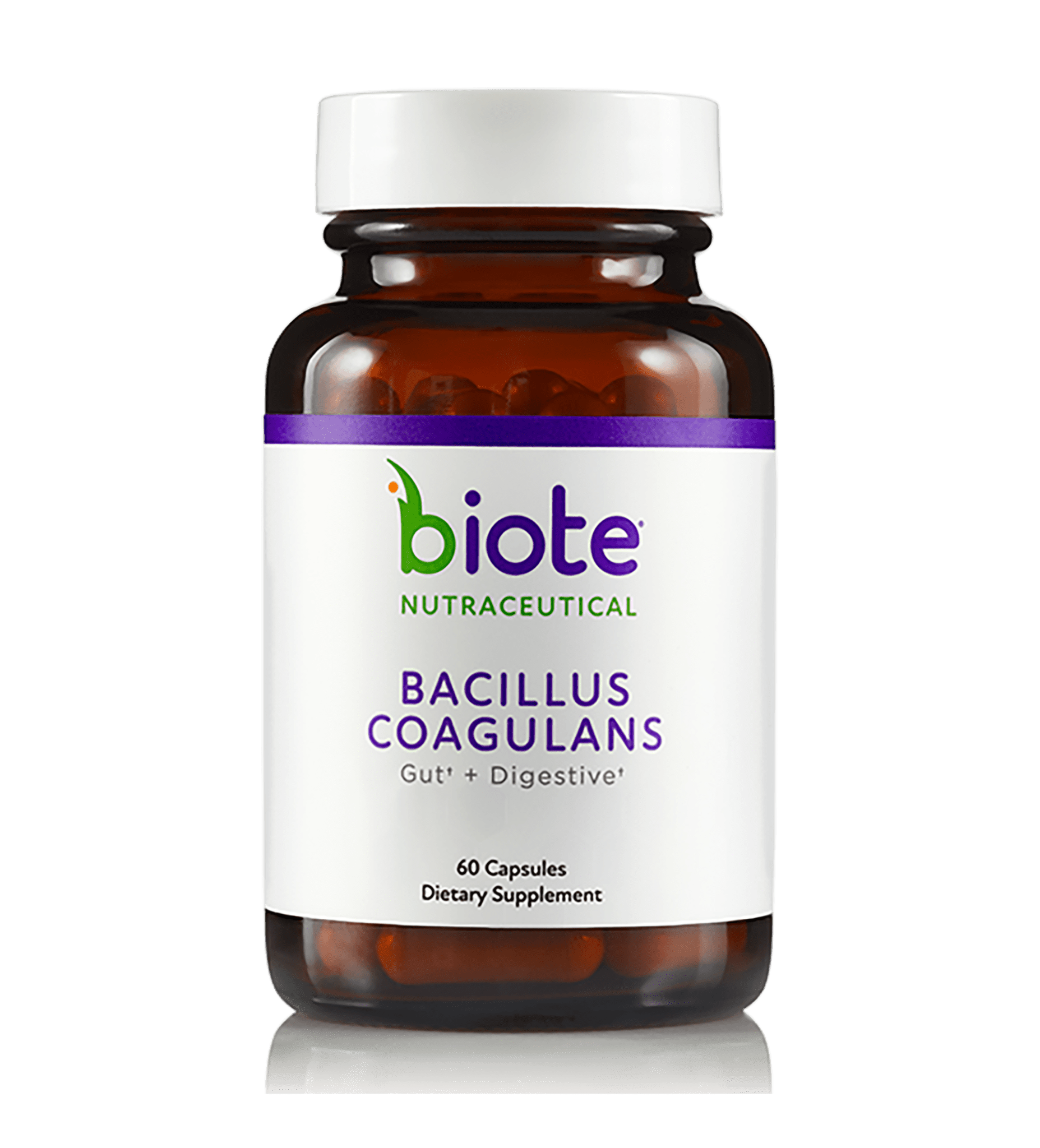 Bacillus Coagulans 5 Billion Shelf Stable Non Dairy 60 Vegetarian Capsules by Solaray available