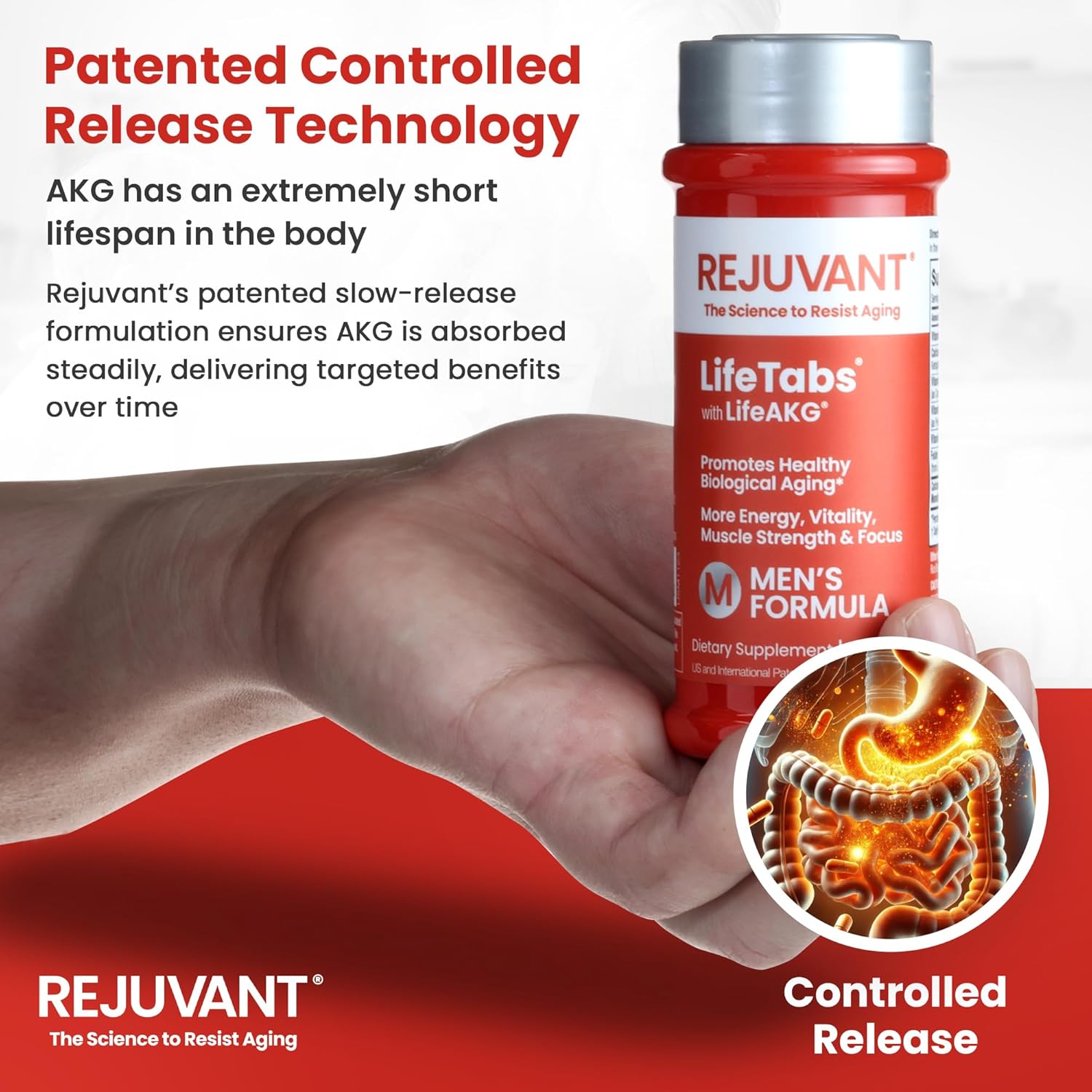 Rejuvant AKG Lifetabs for Men