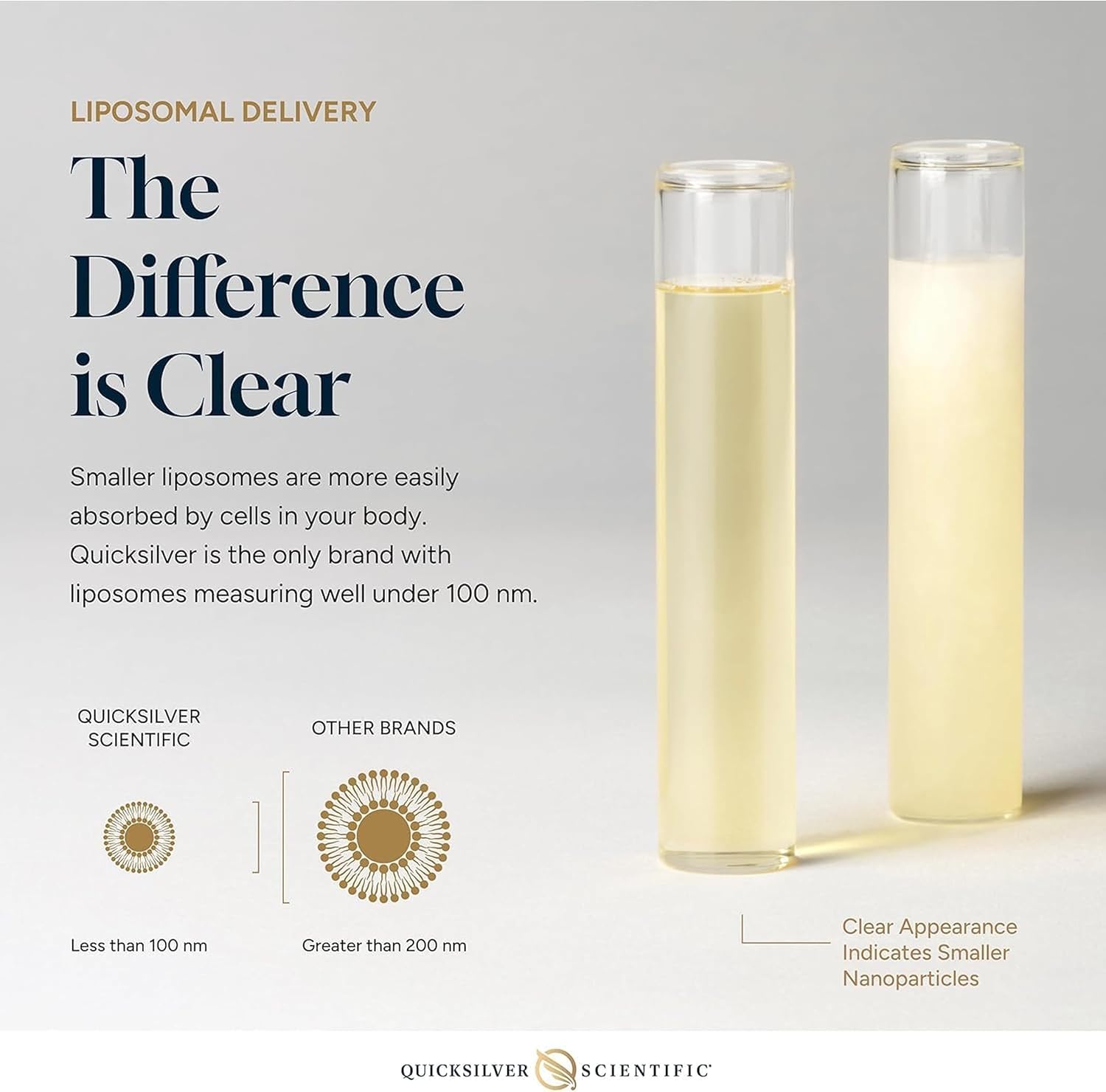 Quicksilver methyl b complex liposome